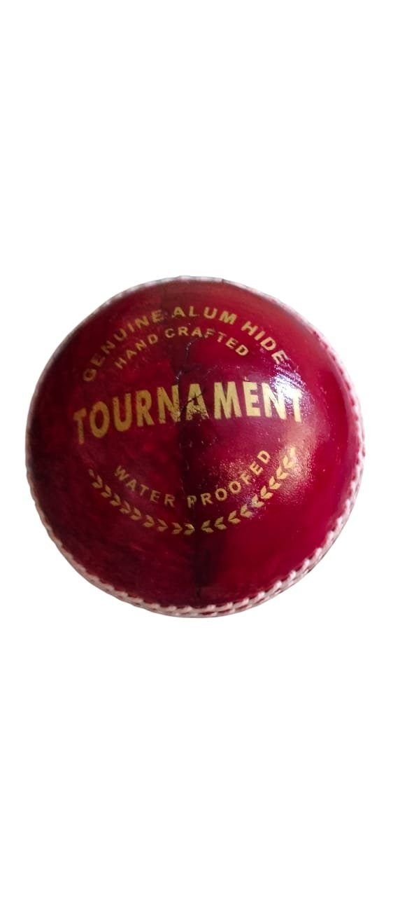TNS T-20 Grade A Quality Cricket Leather Ball 4 Piece Leather Ball - Pack of 1,White