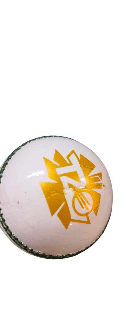 TNS T-20 Grade A Quality Cricket Leather Ball 4 Piece Leather Ball - Pack of 1,White