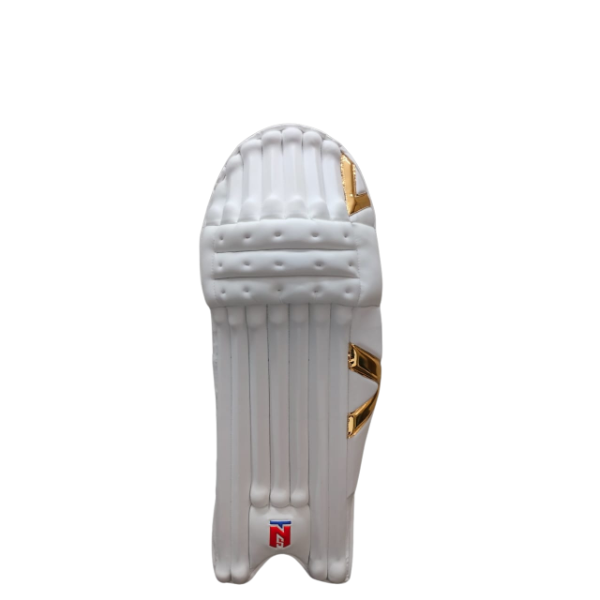 TNS Edition Men's Cricket Batting Legguards (White)
