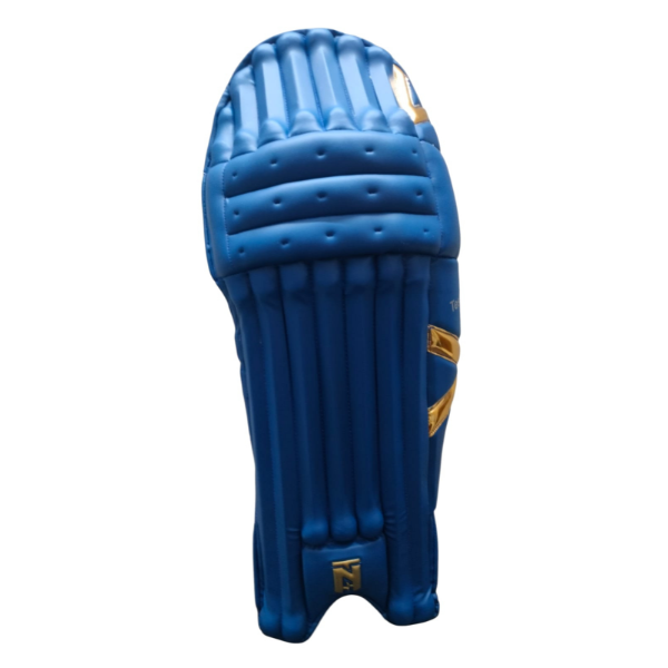 TNS Test Cricket Batting Legguard (Blue)