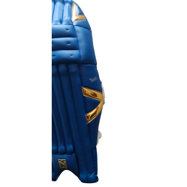 TNS Test Cricket Batting Legguard (Blue)